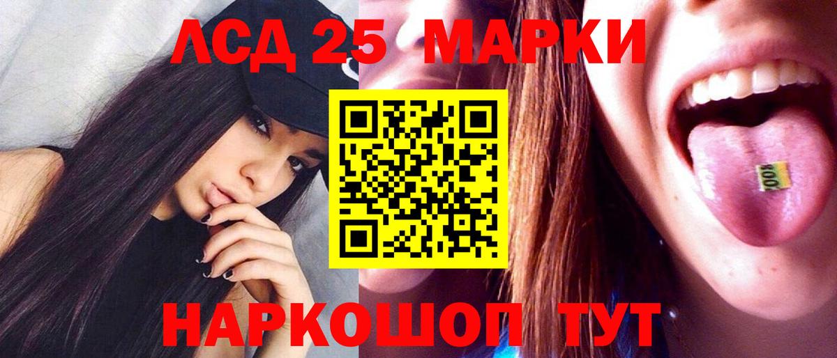 Курчалой  Лсд 25 экстази кислота  LSD-25 экстази  LSD-25 экстази ecstasy  Вход с VPN 