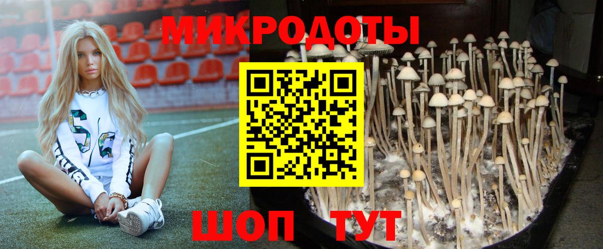 Галлюциногенные грибы прущие грибы  Вход с VPN  Курчалой 